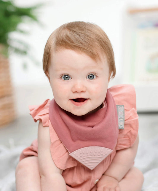 Neckerchew Teething Dribble Bib - Rainbow Rose - Muddy Boots Home UK