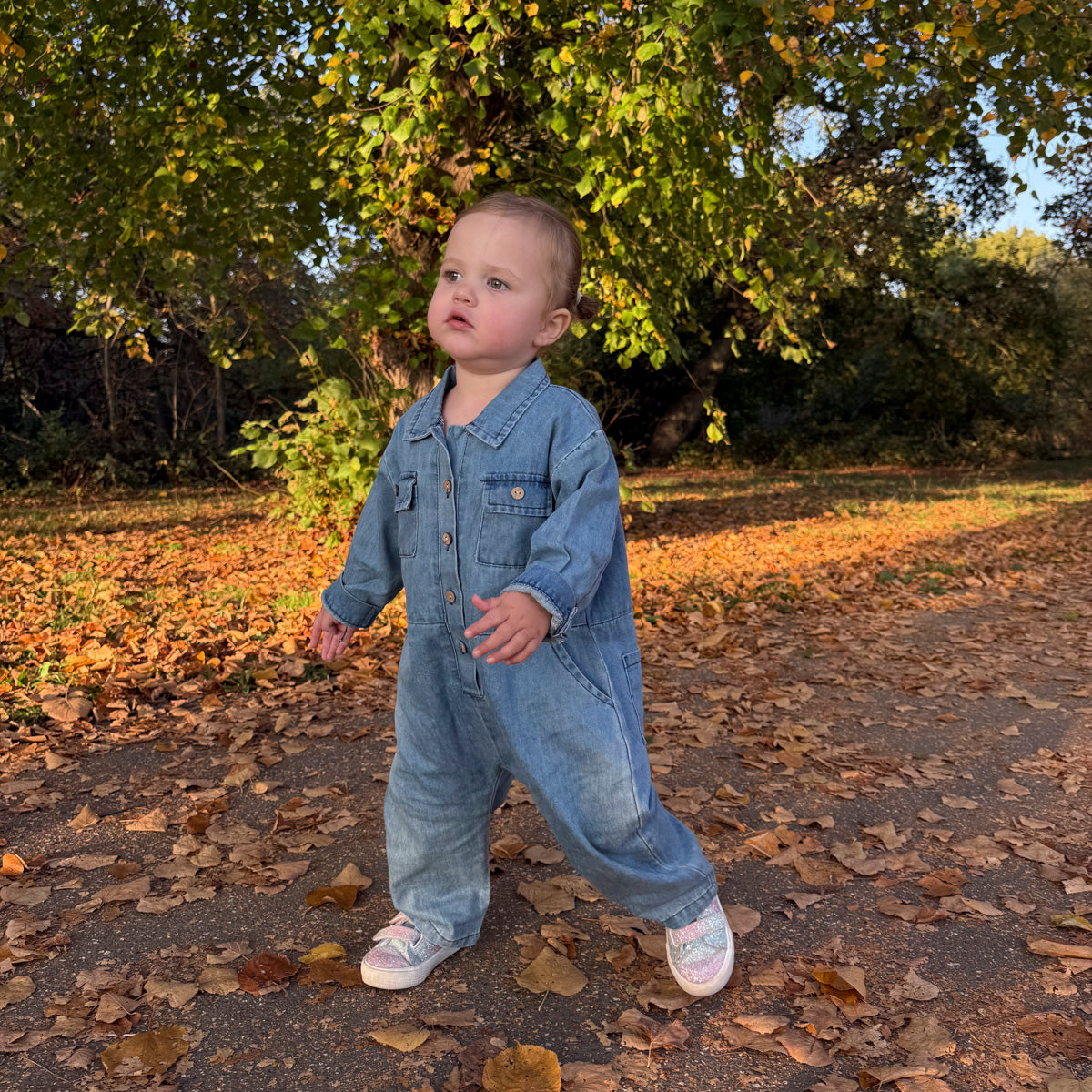 Denim Boiler Suit