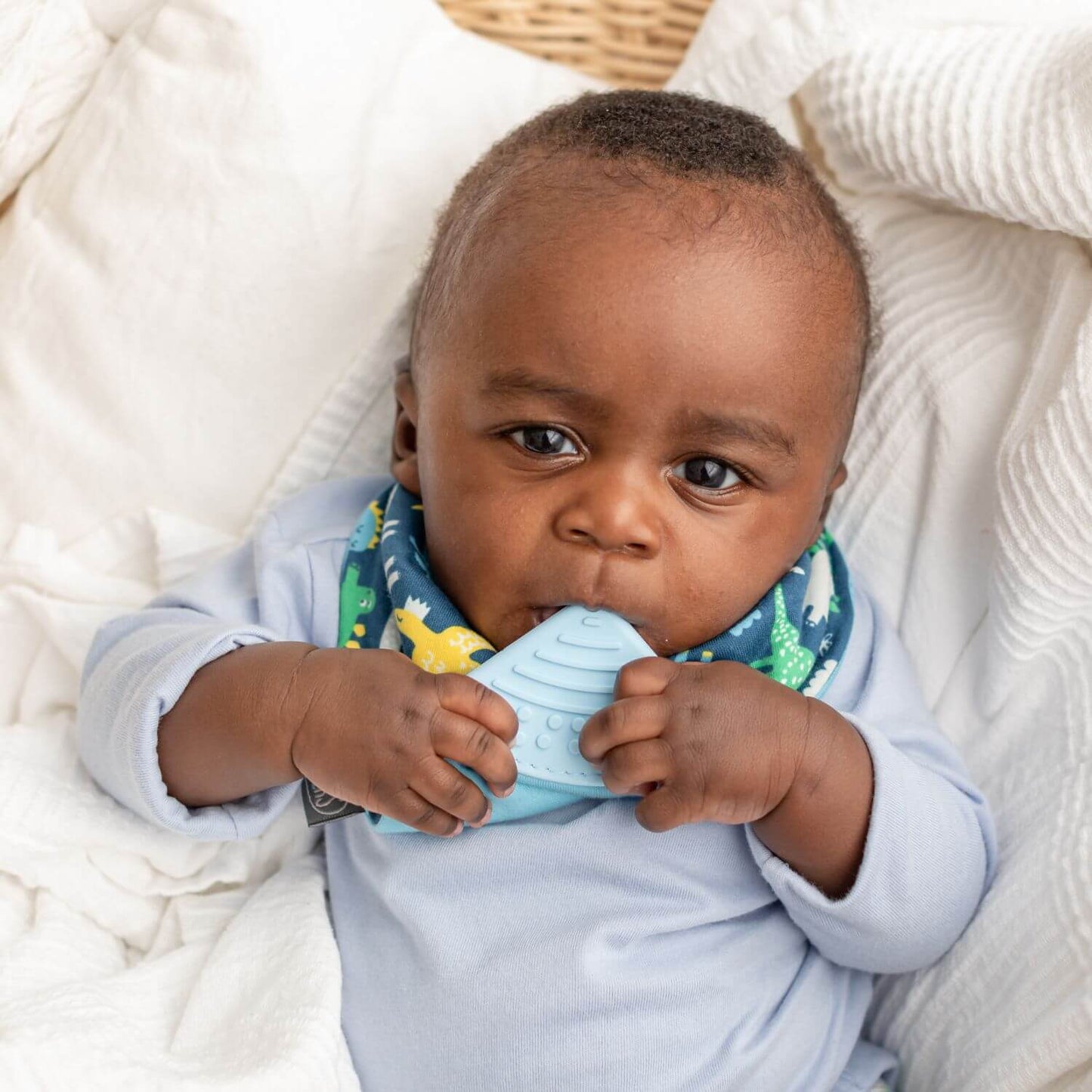 Cheeky Chompers - Neckerchew Teething Dribble Bib - Baby Dino