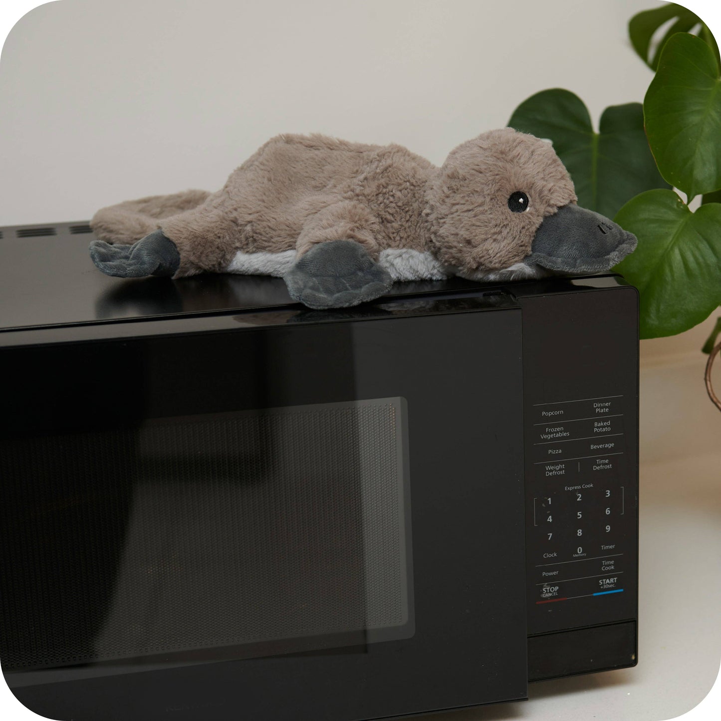 Warmies - Warmies Platypus