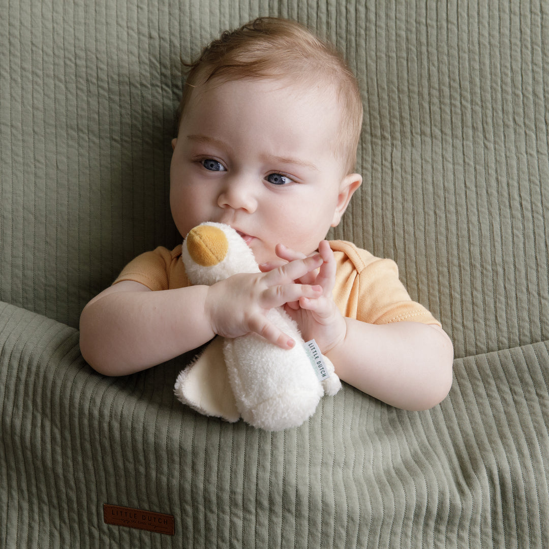 Little Dutch Squeaker Little Goose